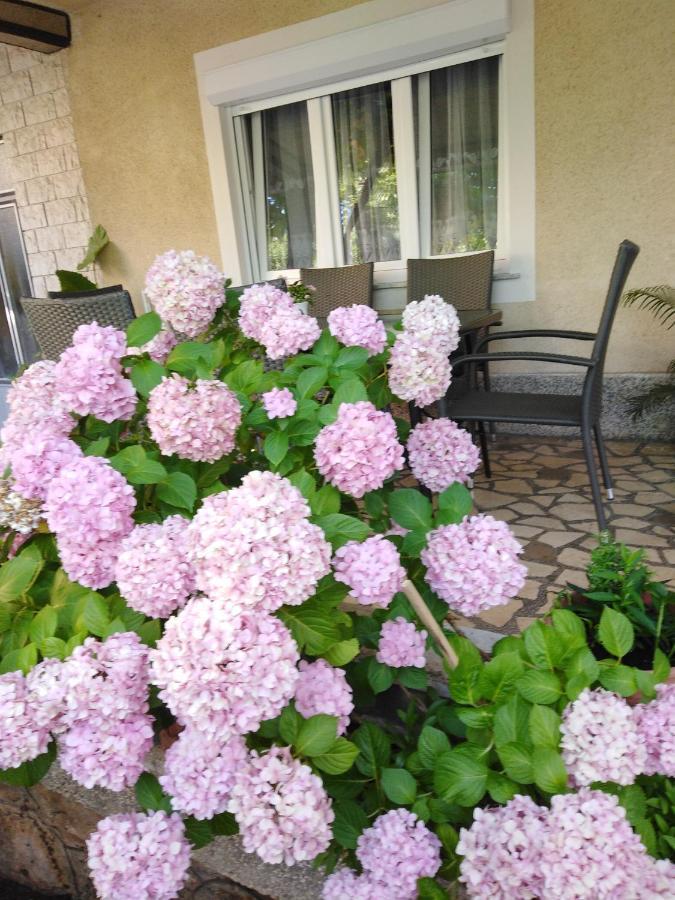 Apartman Paulina Leilighet Selce Eksteriør bilde